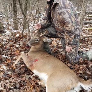 Meet your Posher, Mikey